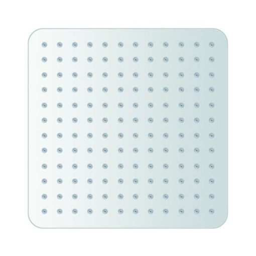 Slika TUŠ RUŽA SS 300X300 MM